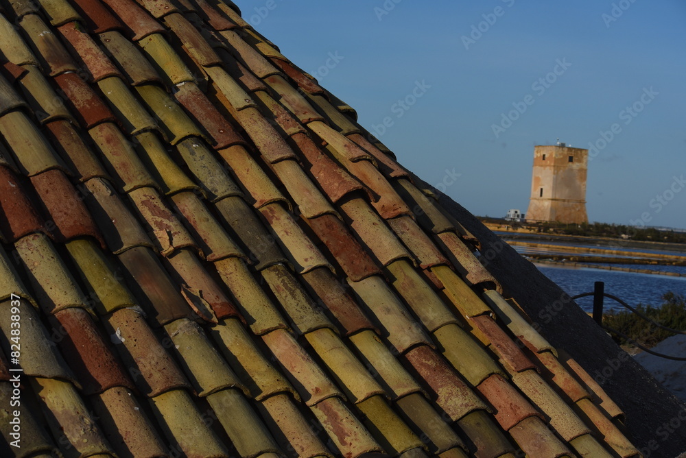 coppo siciliano che ricopre un cumulo di sale, saline di Trapani, Sicilia
