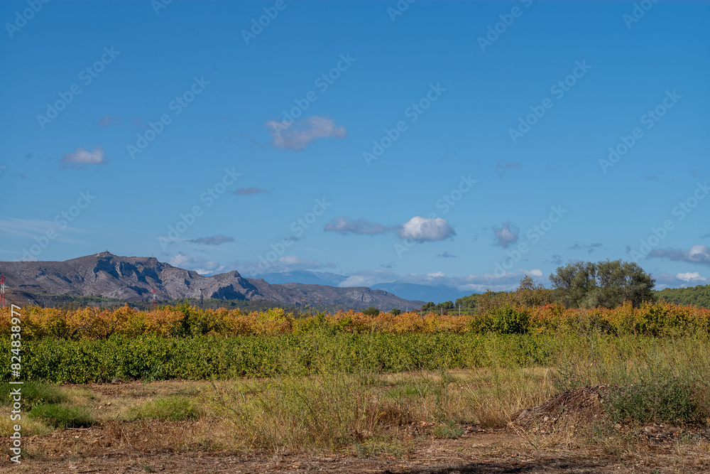 Naklejka premium landscape with mountains