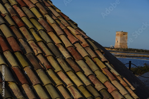 Obraz na płótnie coppo siciliano che ricopre un cumulo di sale, saline di Trapani, Sicilia w salonie