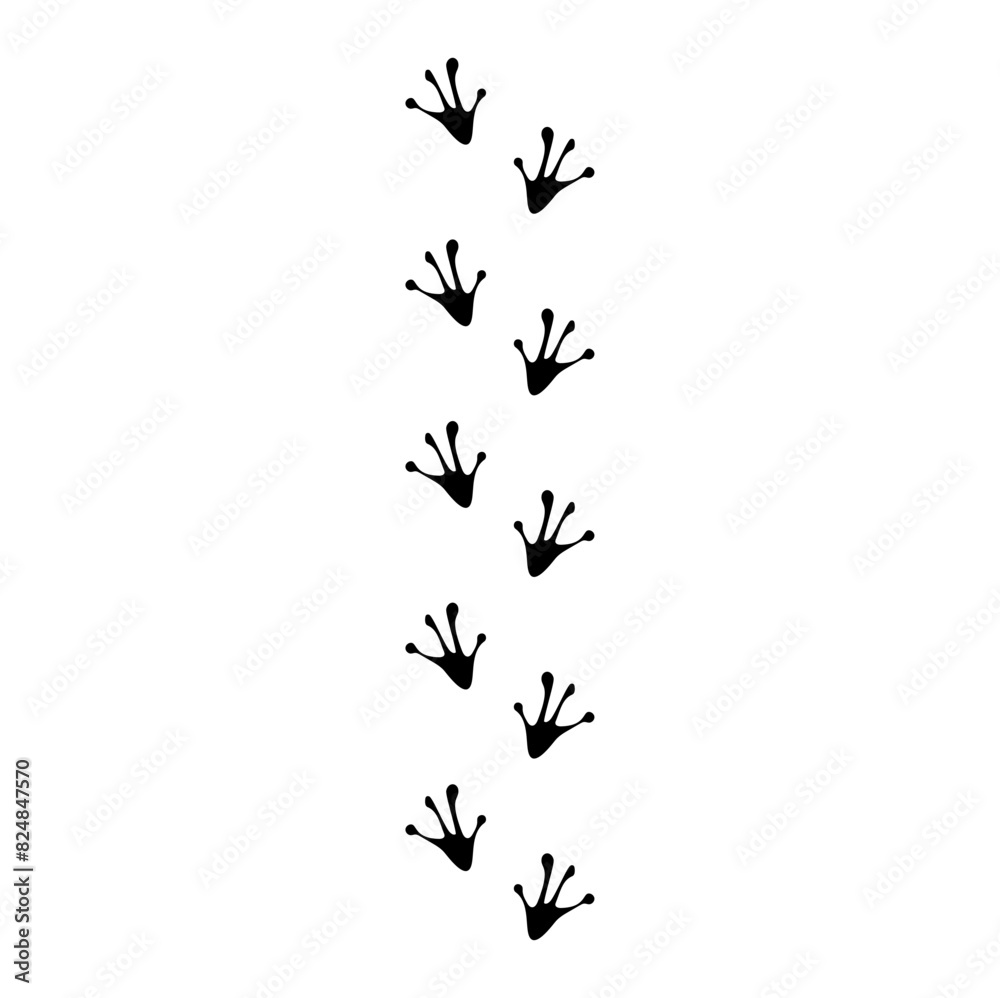 Obraz premium flat Frog track footprints vector 