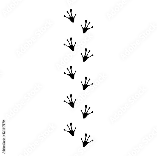 flat Frog track footprints vector 