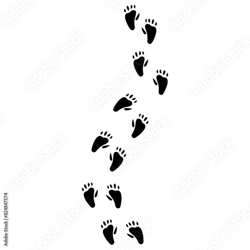 flat Opossum footprints vector 