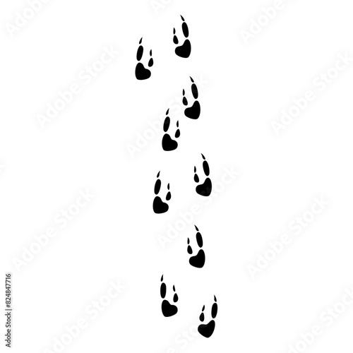 Animals Flat Footprint Hand drawn Vector 