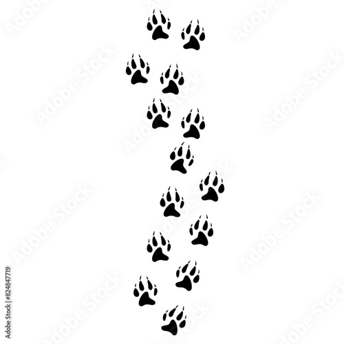 flat Wolf Track footprints vector  © Ibnu