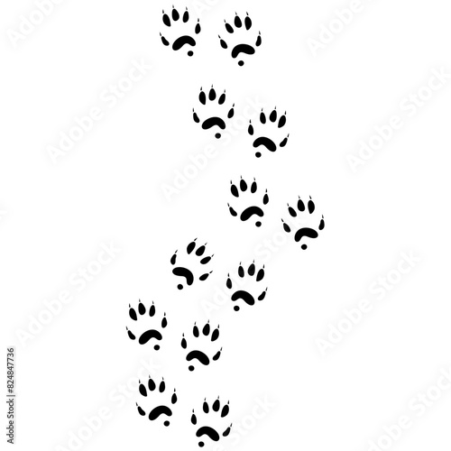 Animals Flat Footprint Hand drawn Vector 