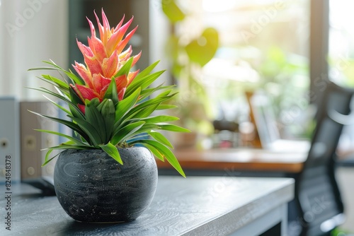 plant in a vase on a table