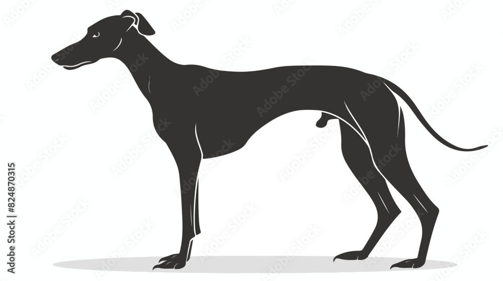 Greyhound silhouette. English big happy dog vector ic