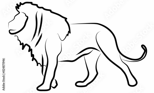 vector line art lion, logo icon