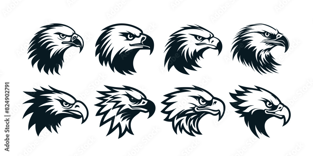 Fototapeta premium Eagles Clipart Collection Black Color Vector