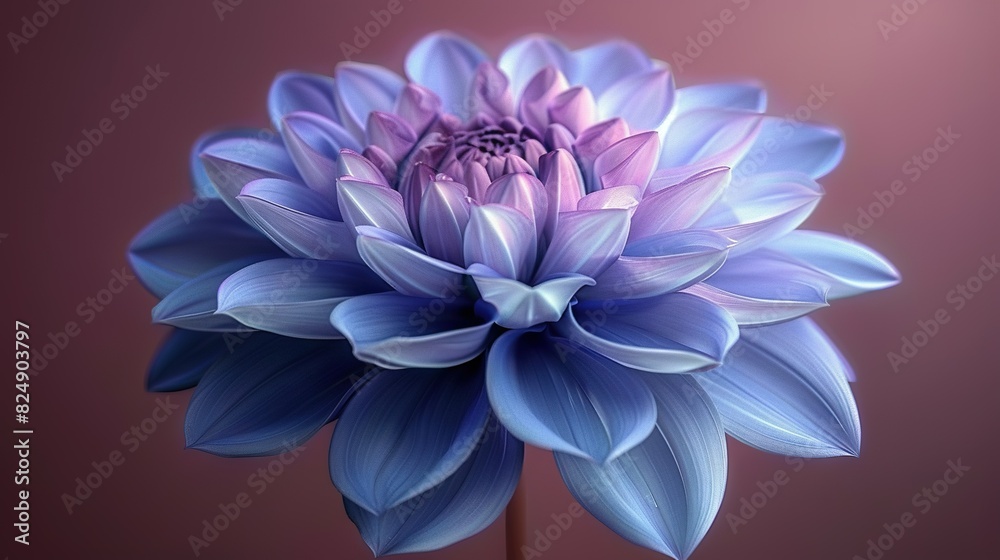   Blue and purple flower on pink background with blurred center