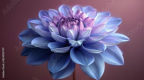   Blue and purple flower on pink background with blurred center