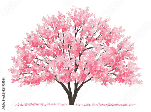 pink cherry blossom, Vertor set of spring blossom tree,bloomimg plants side view for landscape elevation and section,eco environment concept design,watercolor sakura illustration,colorful season