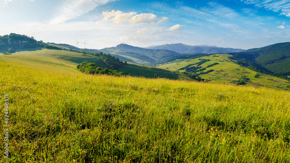 countryside landscape with forested rolling hills behind grassy meadows of carpathian mountains in morning light. beautiful summer scenery of Volovets district, Ukraine. borzhava ridge in the distance