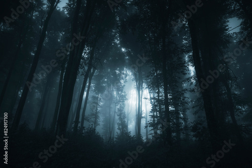 Fototapeta Naklejka Na Ścianę i Meble -  light in dark fantasy forest