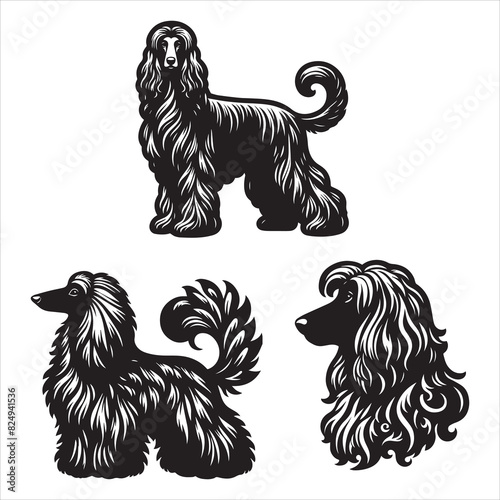 Afghan Hound silhouette vector icon graphic logo ai generated design photo