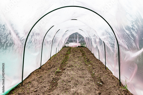 Canvastavla The garden bed on plastic arches