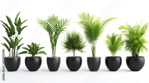 Plants in pots isolated on white background   Set of artificial green houseplants in white pots isolated on white background   Collection of various plants in different pots