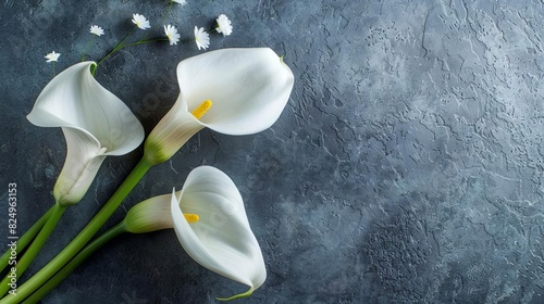 elegant white calla lily on muted grey minimalist sympathy condolence card