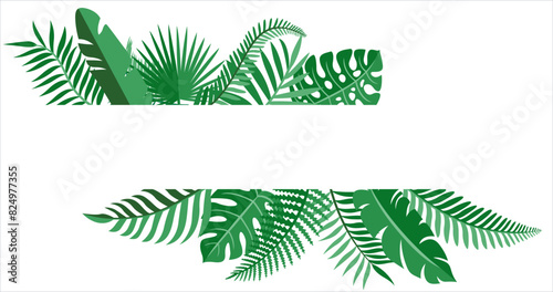 Tropical background with leaves. Vector illustration for your design.