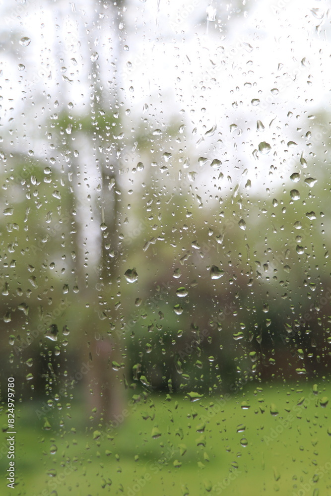 window pane with focus on raindrops and blurry view of greenery