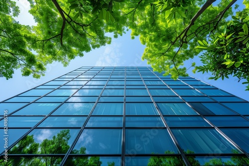 View to the modern office building with some tree, view from the bottom