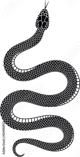 Snake logo. Isolated snake on white background