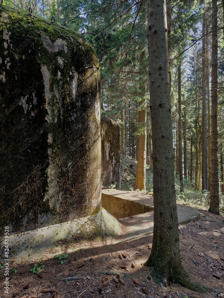 Fototapeta premium massive structures lost in the forests at the borders of an endangered country. trenches and embrasures aim at the enemy who did not come. defense monument