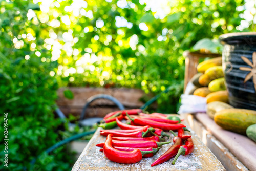 Red chili peppers on wooden table in garden photo