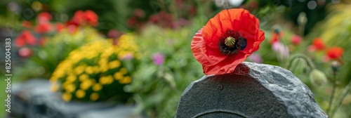 In remembrance  honoring fallen heroes with a close up of a solemn red poppy on a war memorial photo