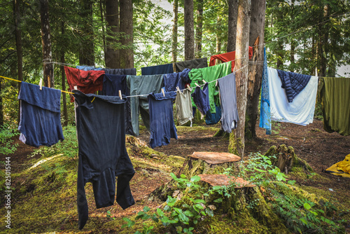 Clothes hanging amidst trees at campsite in forest photo