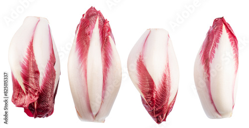 Red endive or italian chicory and cross cut of endive on white background. File contains clipping paths. photo
