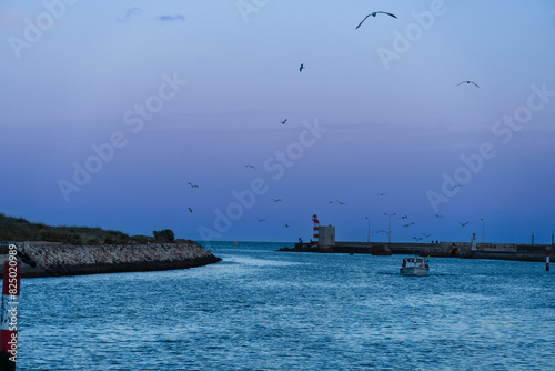 Fishing boats in the port, Ribeira de Bensafrim, Lagos, Algarve, Portugal. Seagulls following the boat because of the fishy smell. Blue hour. Sunset photo