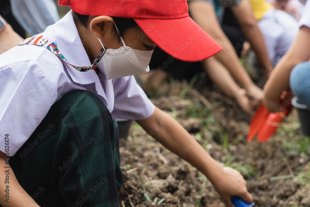 Little kindergarten kid boy plant seed tree on soil Little kindergarten kid boy plant seed tree on soil