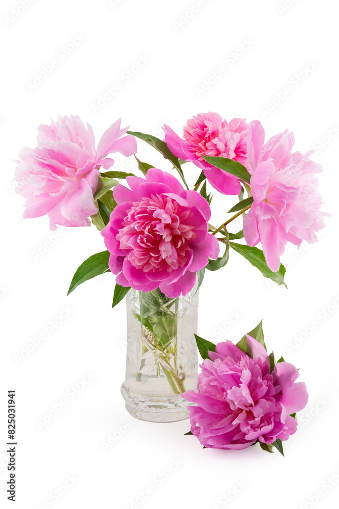 Fototapeta premium blooming pink peonies in a vase