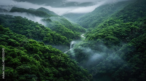 Enchanting misty forest valley with lush greenery and a winding river  captured on a serene and foggy morning.