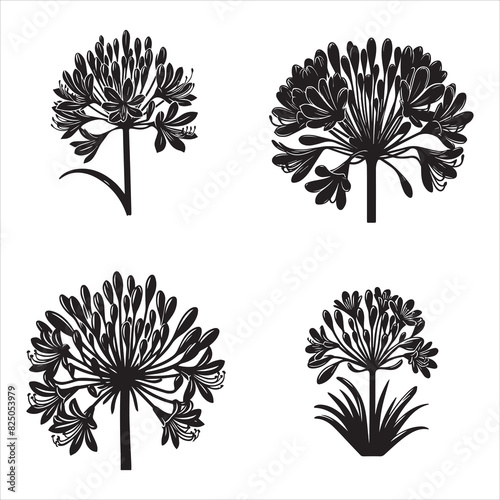 Agapanthus silhouette vector icon graphic logo ai generated design