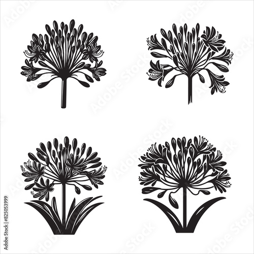 Agapanthus silhouette vector icon graphic logo ai generated design