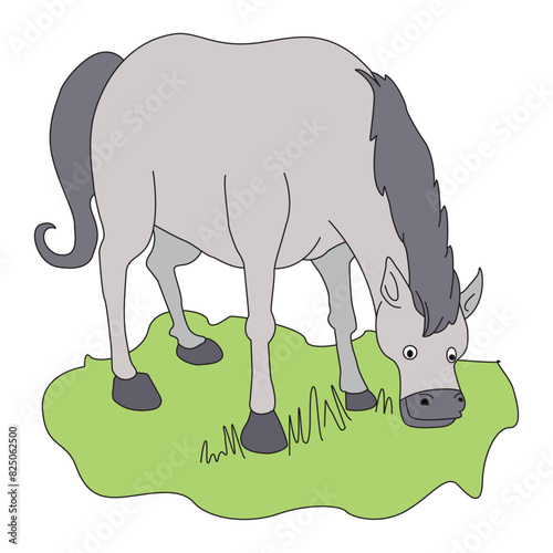 A horse eating grass in the ground