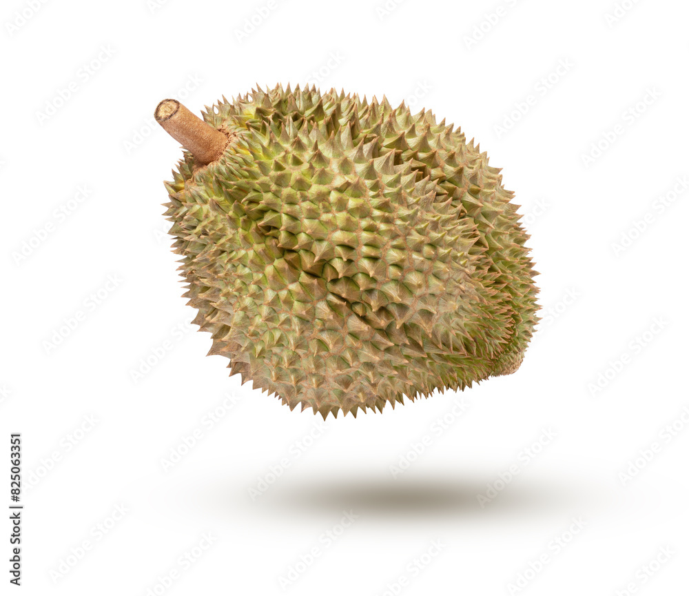 durian isolated on white background durian isolated on white background