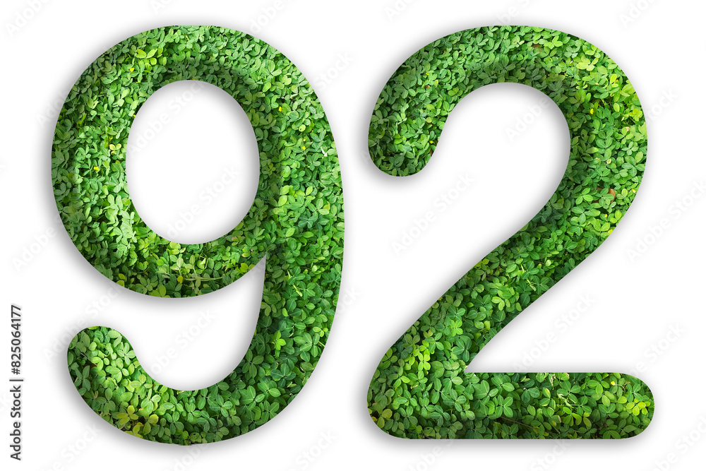 3d of the number of 92 is made from green grass on white background, go green concept 3d of the number of 92 is made from green grass on white background, go green concept