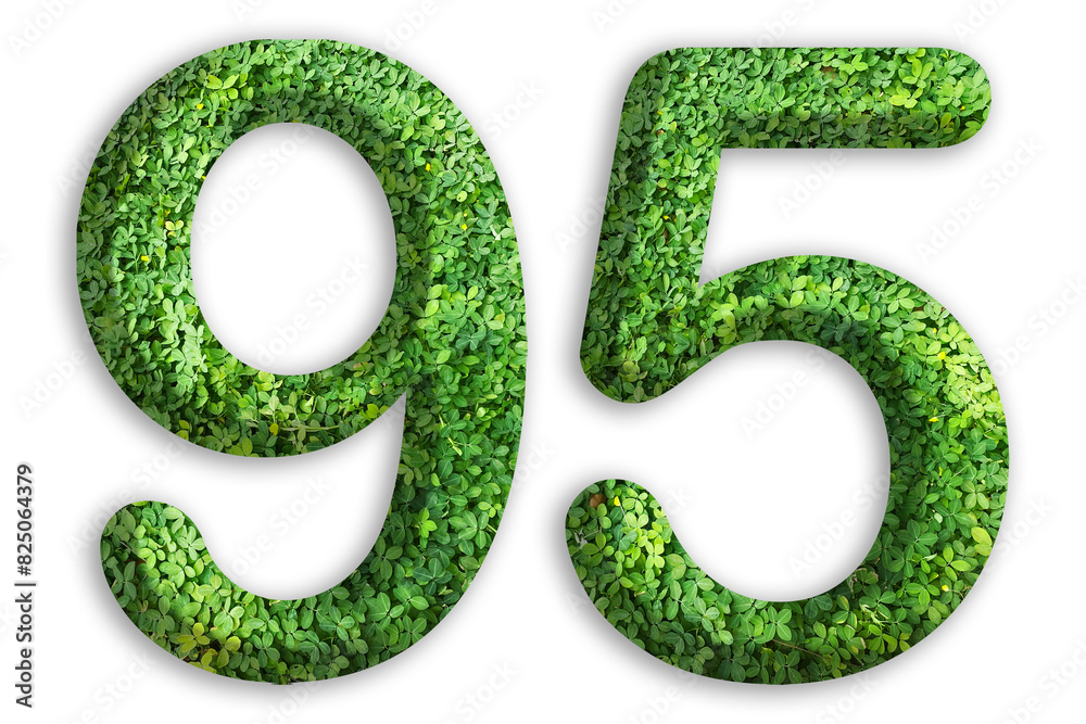 3d of the number of 95 is made from green grass on white background, go green concept 3d of the number of 95 is made from green grass on white background, go green concept