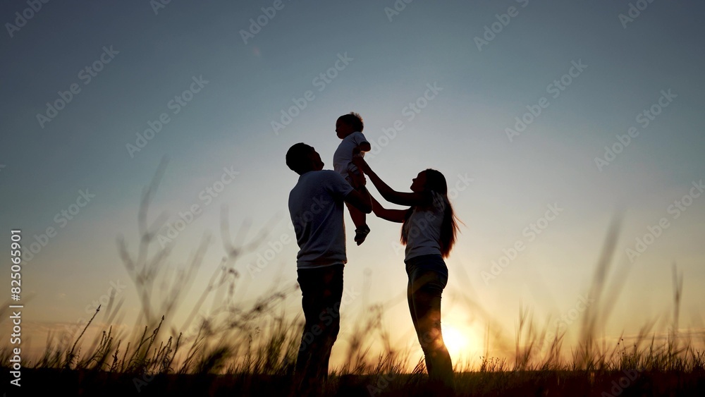 family standing on the field. happy childhood concept for little child. big happy family stands on field, parents raised the child lifestyle in their arms, sunset on the background, silhouettes