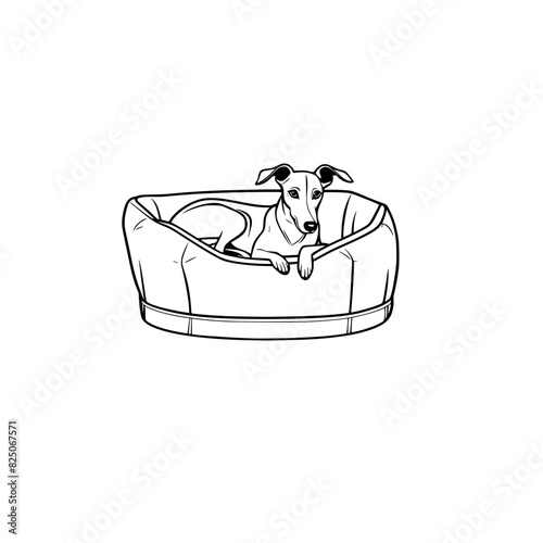 A cartoon whippet in a dog bed coloring page generative ai