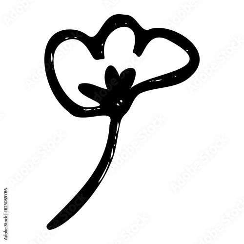 flower, flower outline, plant, black and white illustration