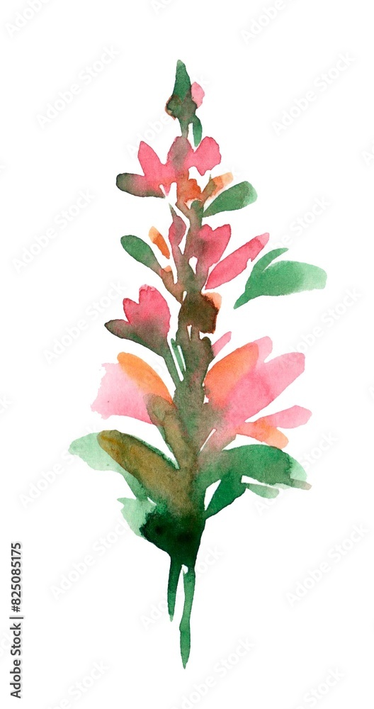 A delicate watercolor illustration of a pink fireweed flower on a white background