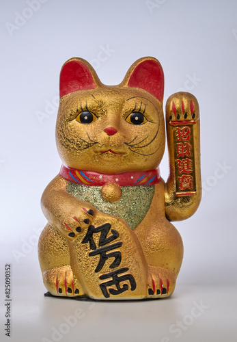Japanese Lucky Cat from front and isolated on white
