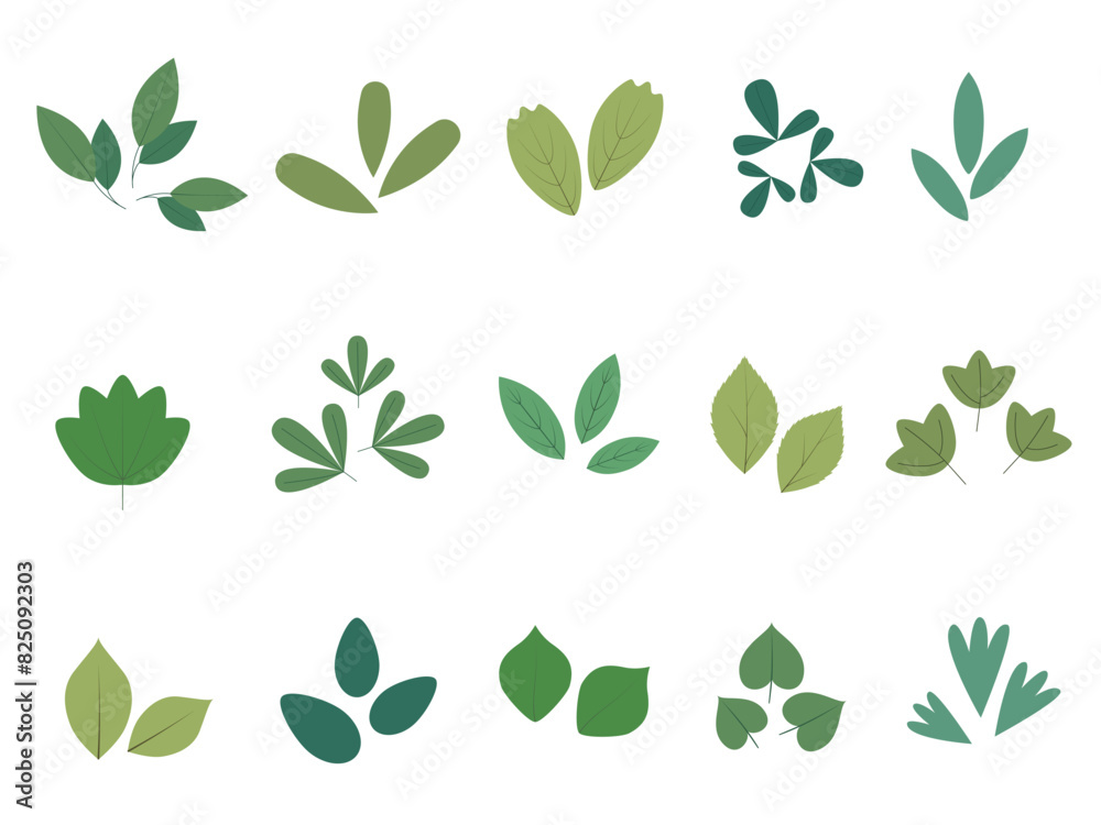 Abstract leaves set, top view. Spring flora. Flat vector illustration on white background