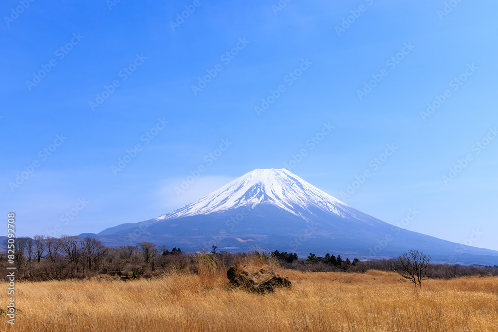 早春の朝霧高原からの富士山の雄大な景色