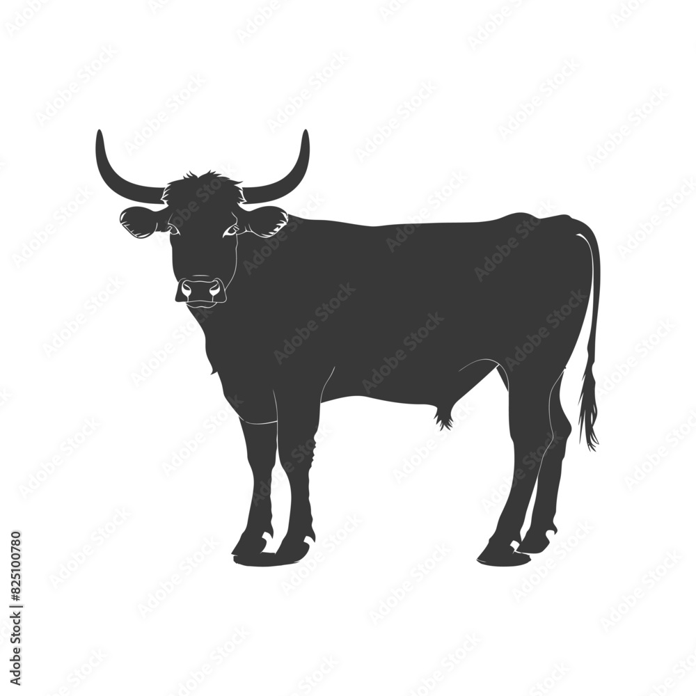 Silhouette bull animal black color only Silhouette bull animal black color only