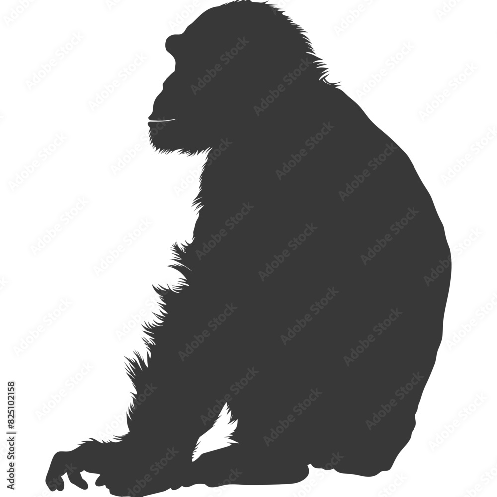 Silhouette Chimpanzee animal black color only Silhouette Chimpanzee animal black color only